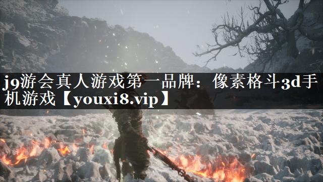 j9游会真人游戏第一品牌：像素格斗3d手机游戏